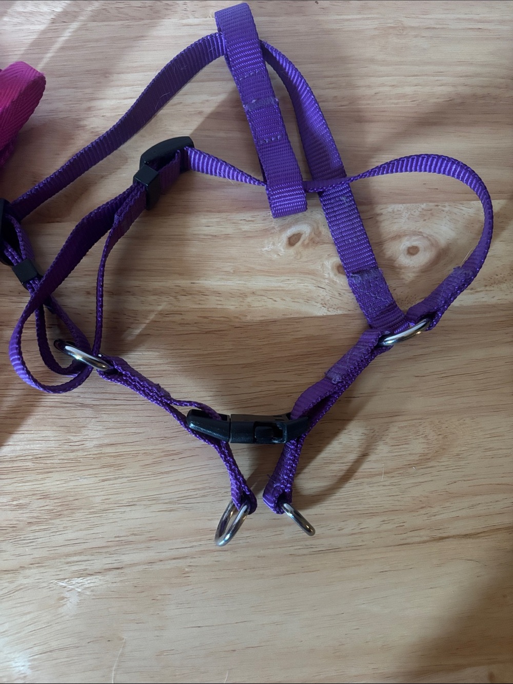 Set of 2 Small Dog Harness’s and Pink Leash